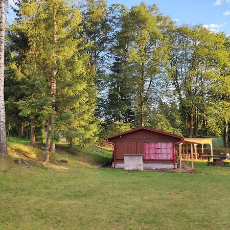 Lesni 