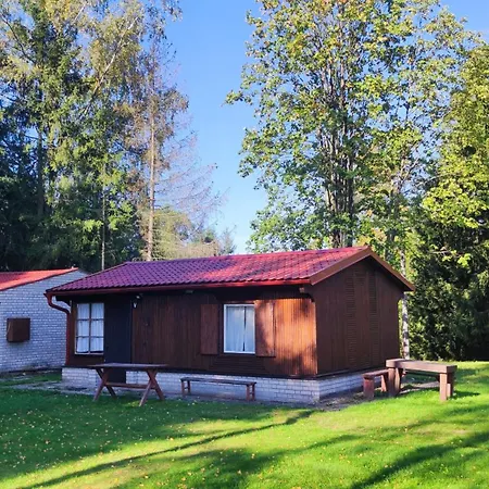 Lesní Hogo Fogo