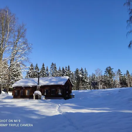 Lesní Hogo Fogo * Kytlice