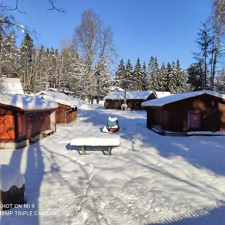 Lesní Hogo Fogo