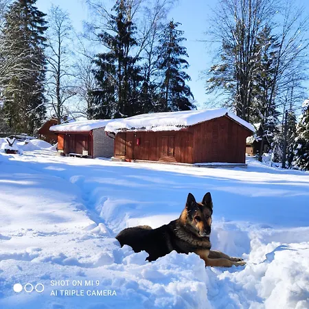 Lesní Hogo Fogo Chata Kytlice