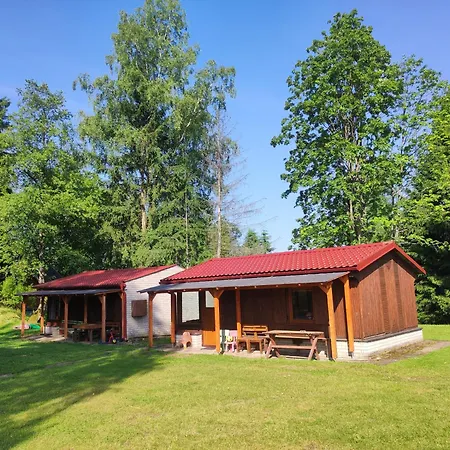 Lesni 