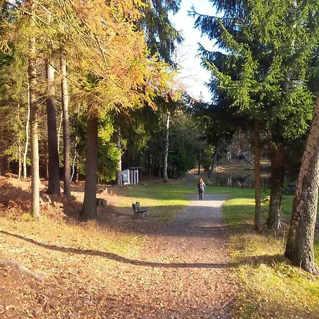 Lesní Hogo Fogo Kytlice