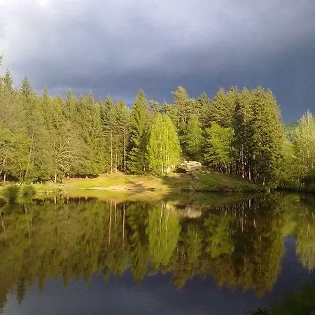 Orman Evi Lesni 