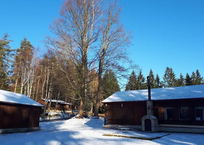 Lesni 