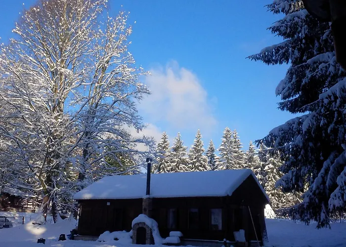 Lodge Lesni 